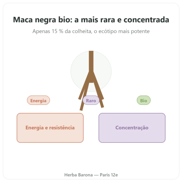 Maca Preta Bio em Pó Pederoso – Saldac – 250 g apresentação Paris Herba Barona