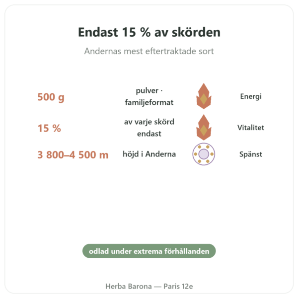 Maca Svart Ekologisk i Pulver – Energy Feelings – 500 g fördelar och nyckelfakta Paris Herba Barona