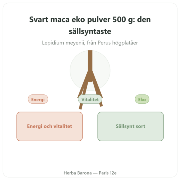 Maca Svart Ekologisk i Pulver – Energy Feelings – 500 g presentation Paris Herba Barona