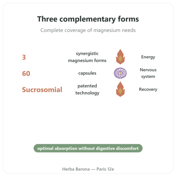 Magnacell – SIHO – 3-Magnesium Complex – 60 capsules benefits and key facts Paris Herba Barona