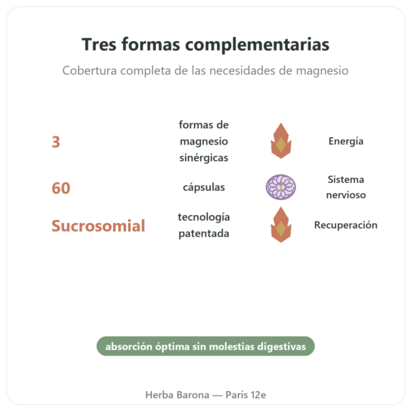 Magnacell – SIHO – Complejo 3 Magnesios – 60 Cápsulas beneficios y datos clave Paris Herba Barona