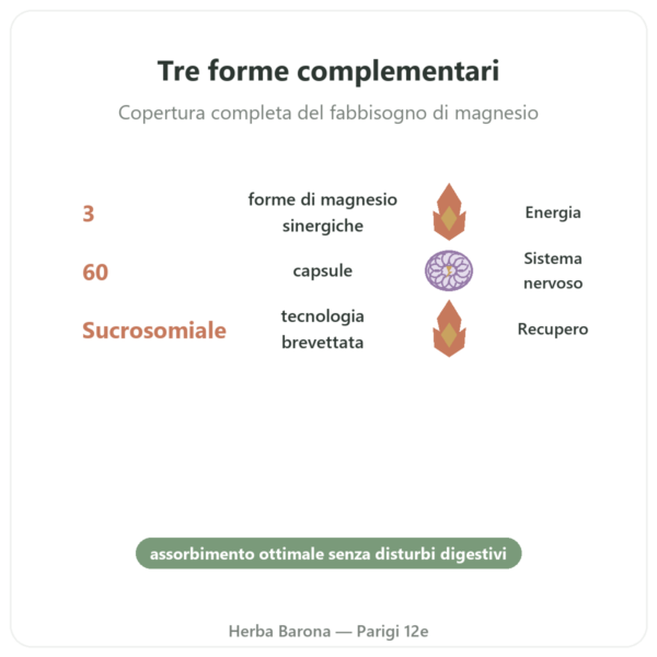 Magnacell – SIHO – Complesso 3 Magnesi – 60 Capsule benefici e dati chiave Paris Herba Barona