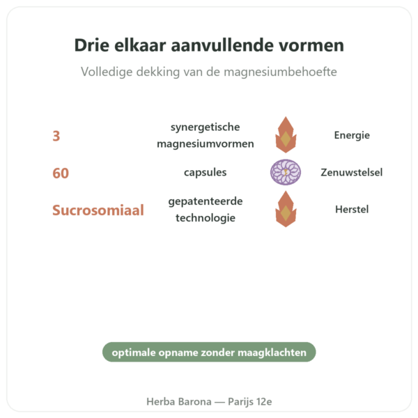 Magnacell – SIHO – Complex 3 Magnesiums – 60 capsules voordelen en kerngegevens Paris Herba Barona
