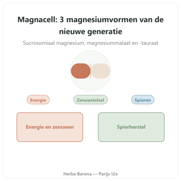 Magnacell – SIHO – Complex 3 Magnesiums – 60 capsules presentatie Paris Herba Barona