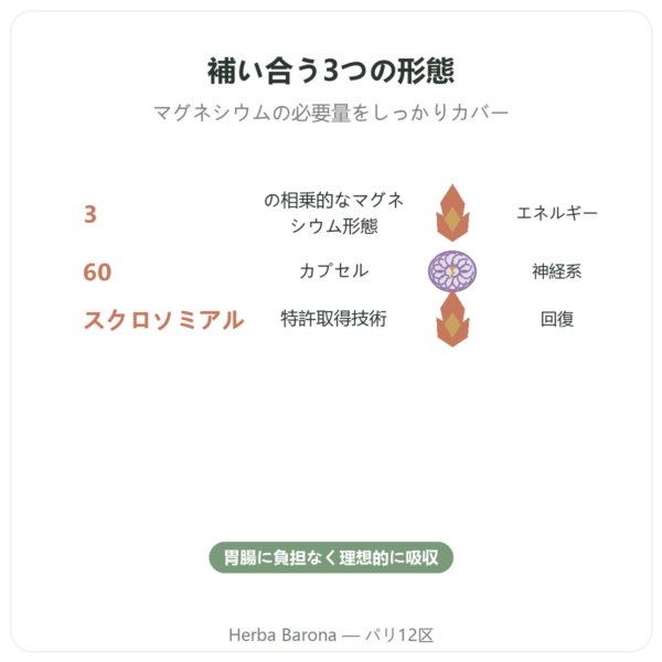 Magnacell – SIHO – 3種マグネシウム コンプレックス – 60カプセル benefits and key facts Paris Herba Barona