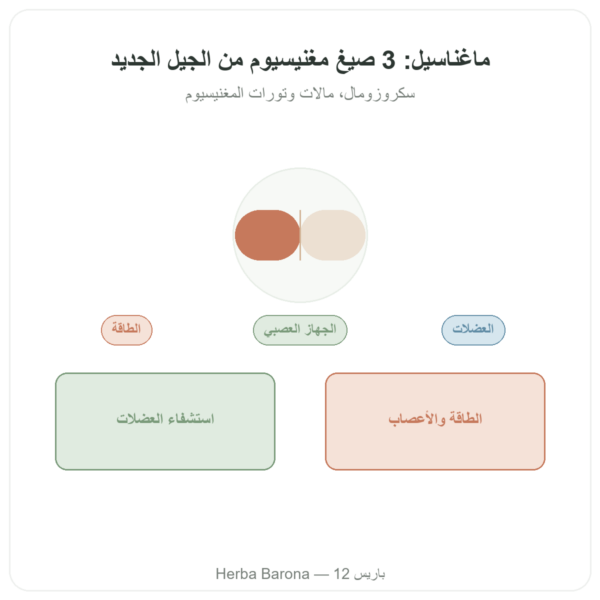 ماغناسيل Magnacell – SIHO – مركّب 3 أنواع مغنيسيوم – 60 كبسولة عرض المنتج Paris Herba Barona