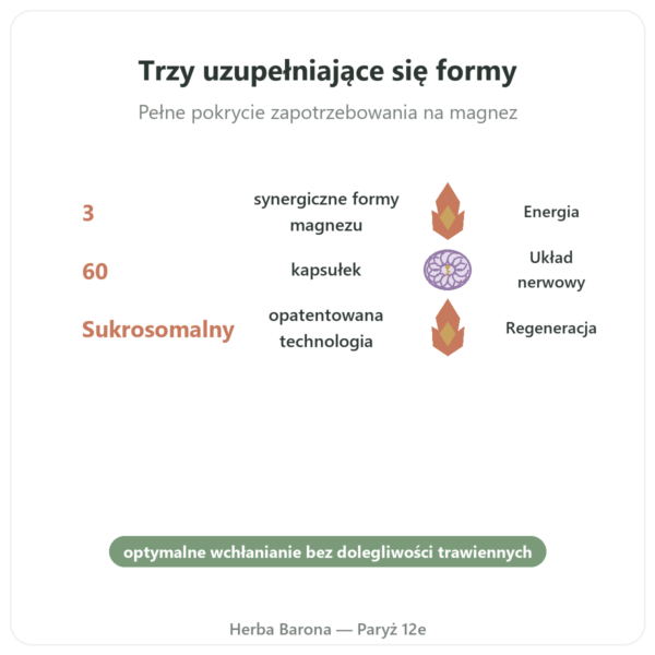 Magnacell – SIHO – kompleks 3 magnezów – 60 kaps. korzyści i najważniejsze fakty Paris Herba Barona