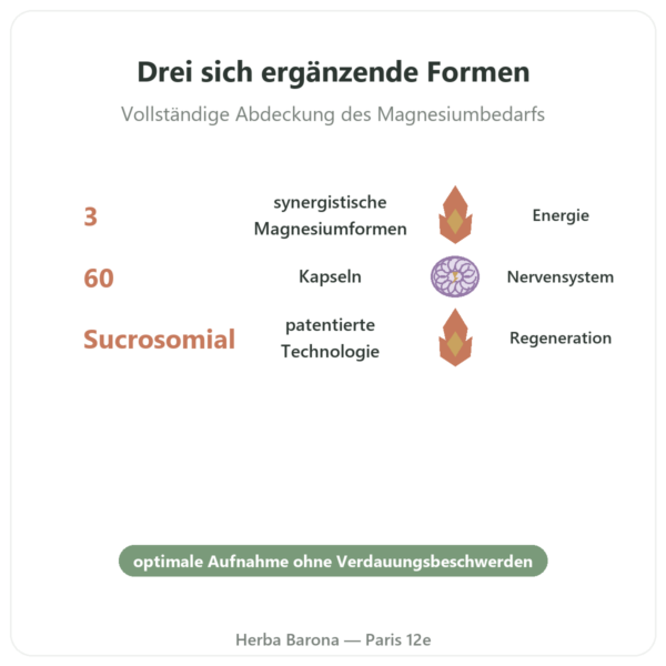 Magnacell – SIHO – Komplex 3 Magnesiumformen – 60 Kapseln Vorteile und Fakten Paris Herba Barona