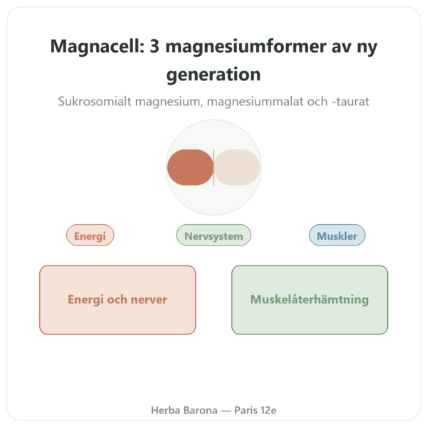 Magnacell – SIHO – Komplex av 3 Magnesium – 60 kapslar presentation Paris Herba Barona
