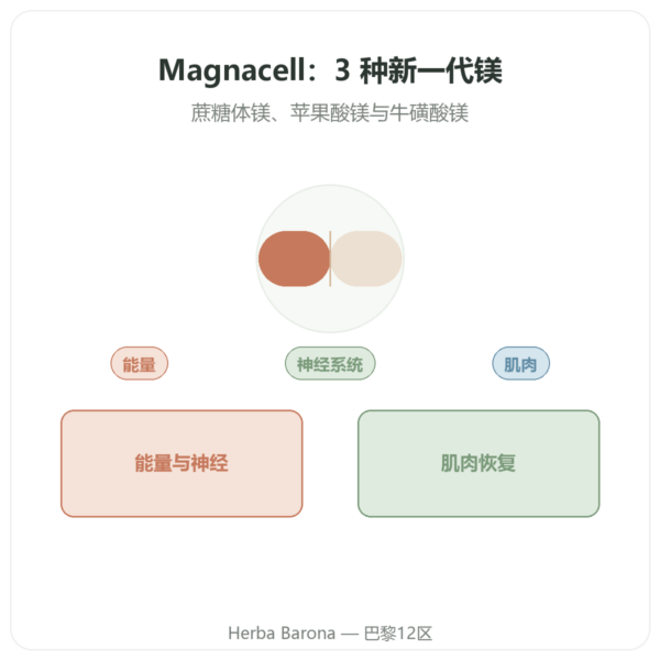 SIHO Magnacell – 三重镁复方 – 60粒 产品展示 Paris Herba Barona