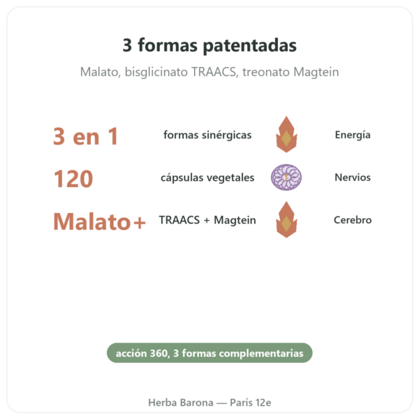Complejo Magnesio 360 – Dynveo – 120 cápsulas beneficios y datos clave Paris Herba Barona