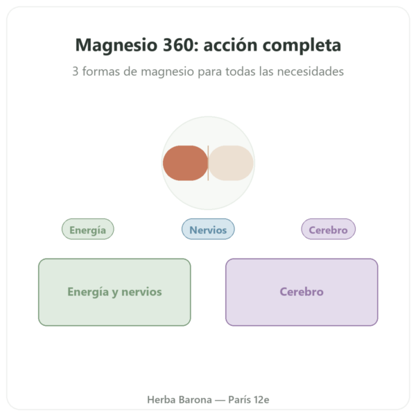 Complejo Magnesio 360 – Dynveo – 120 cápsulas presentación Paris Herba Barona