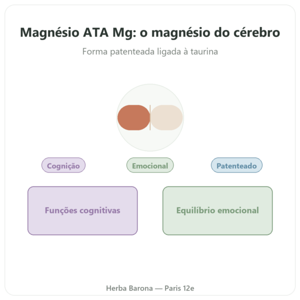 Magnésio Acetil Taurinato ATA Mg – 60 Cápsulas – Dynveo apresentação Paris Herba Barona