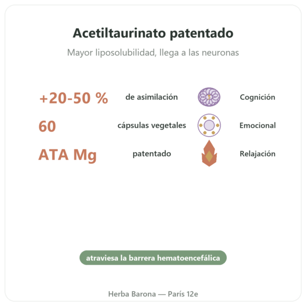 Magnesio Acetil Taurinato ATA Mg® – 60 cápsulas – Dynveo beneficios y datos clave Paris Herba Barona