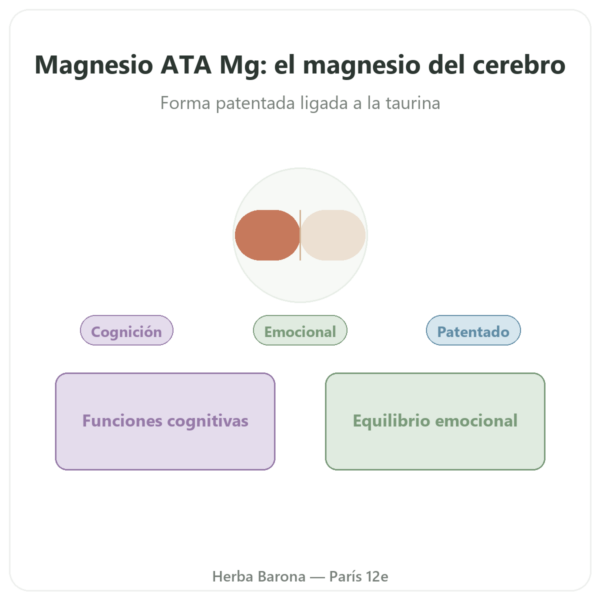Magnesio Acetil Taurinato ATA Mg® – 60 cápsulas – Dynveo presentación Paris Herba Barona