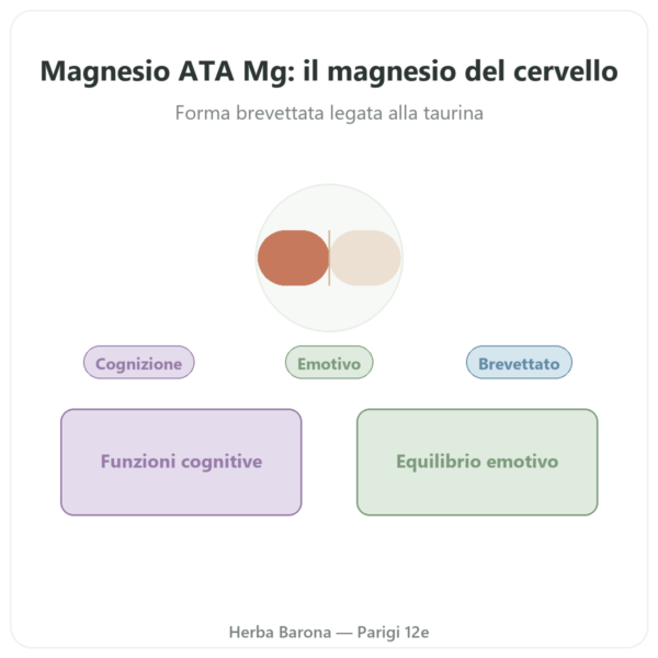 Magnesio Acetil Taurinato ATA Mg® – 60 capsule – Dynveo presentazione Paris Herba Barona