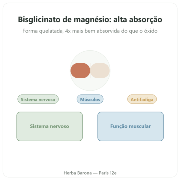 Magnésio Bisglicinato – Dynveo – 60 cápsulas apresentação Paris Herba Barona