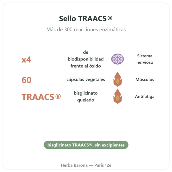 Magnesio Bisglicinato – Dynveo – 60 cápsulas beneficios y datos clave Paris Herba Barona