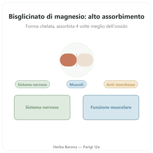 Magnesio Bisglicinato – Dynveo – 60 capsule presentazione Paris Herba Barona