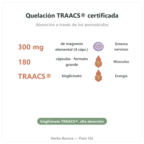 Magnesio Bisglicinato TRAACS® – 800mg – 180 cápsulas – Dynveo beneficios y datos clave Paris Herba Barona