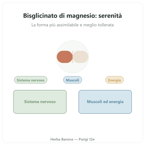 Magnesio Bisglicinato TRAACS® – 800mg – 180 capsule Dynveo presentazione Paris Herba Barona