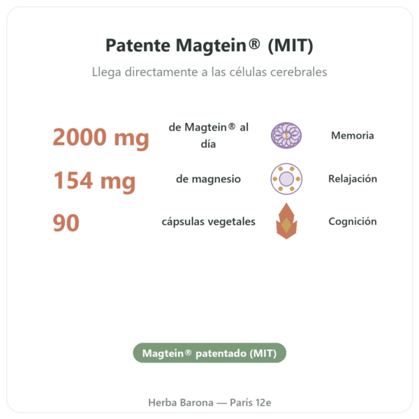 Magnesio L-treonato: Magtein® – Dynveo – 90 cápsulas beneficios y datos clave Paris Herba Barona