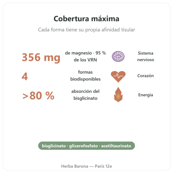 Magnesio Quatro 900 – 90 Cápsulas – Be-Life beneficios y datos clave Paris Herba Barona