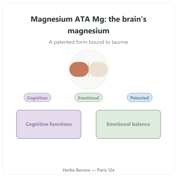 Magnesium Acetyl-Taurate ATA Mg - Dynveo - 60 Capsules presentation Paris Herba Barona