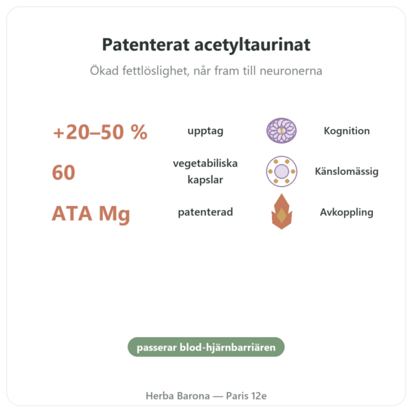 Magnesium Acetyl-Taurinat ATA Mg – 60 kapslar – Dynveo fördelar och nyckelfakta Paris Herba Barona
