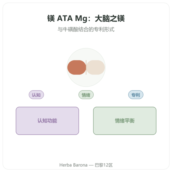 乙酰牛磺酸镁 ATA Mg – 60 粒胶囊 – Dynveo 产品展示 Paris Herba Barona