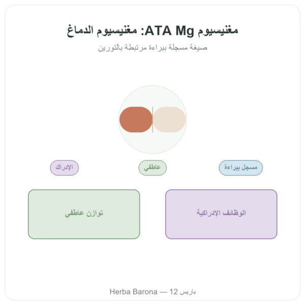 مغنيسيوم أسيتيل تورينات ATA Mg – 60 كبسولة – Dynveo عرض المنتج Paris Herba Barona