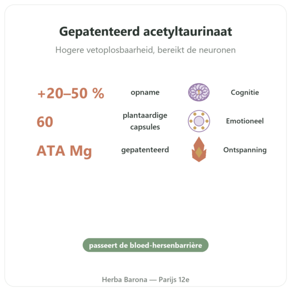 Magnesium Acetyltaurinaat ATA Mg – 60 Capsules – Dynveo voordelen en kerngegevens Paris Herba Barona