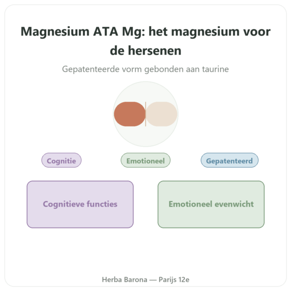 Magnesium Acetyltaurinaat ATA Mg – 60 Capsules – Dynveo presentatie Paris Herba Barona