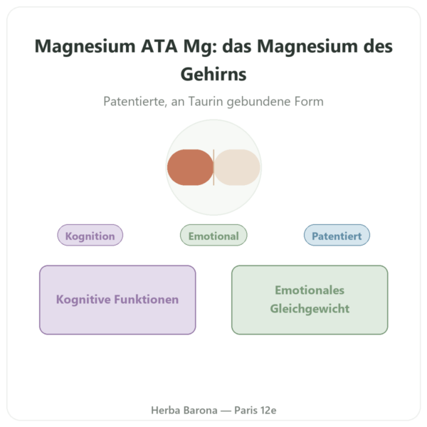 Magnesium-Acetyltaurinat ATA Mg® – Dynveo – 60 Kapseln Vorstellung Paris Herba Barona