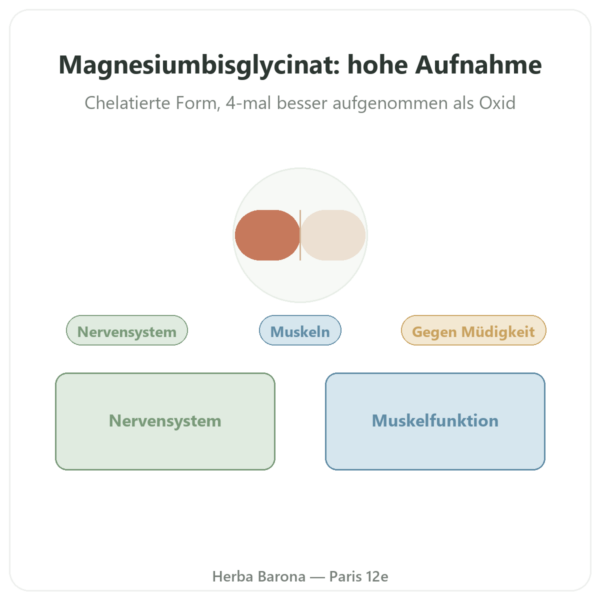 Magnesium-Bisglycinat TRAACS® – Dynveo – 60 Kapseln Vorstellung Paris Herba Barona