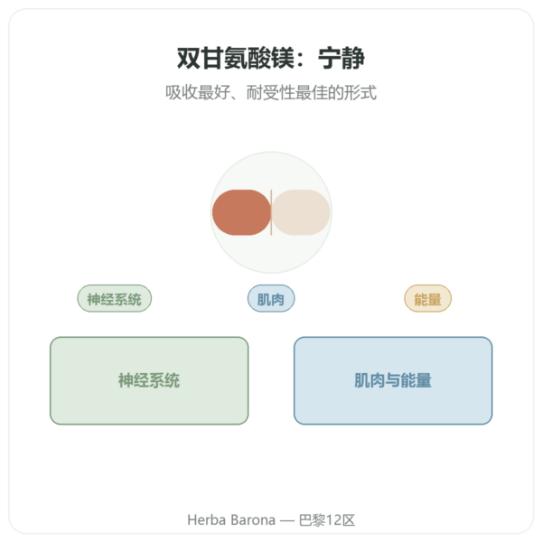 甘氨酸镁 TRAACS® – 800mg – 180 粒胶囊 Dynveo 产品展示 Paris Herba Barona