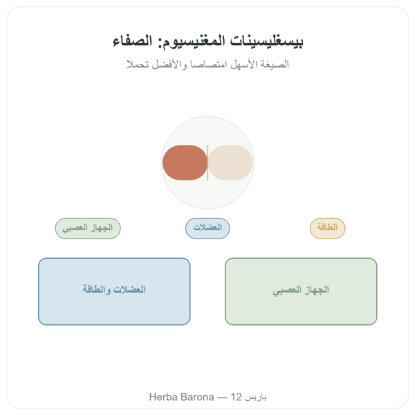 مغنيزيوم بيسغليسينات TRAACS® – 800 ملغ – 180 كبسولة Dynveo عرض المنتج Paris Herba Barona