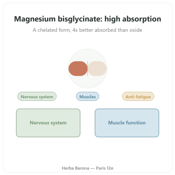 Magnesium Bisglycinate – Dynveo – 60 Capsules presentation Paris Herba Barona