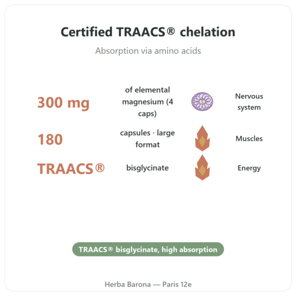 Magnesium Bisglycinate TRAACS® – 800mg – 180 Capsules – Dynveo benefits and key facts Paris Herba Barona