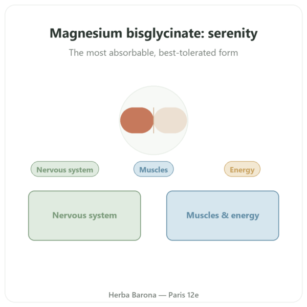 Magnesium Bisglycinate TRAACS® – 800mg – 180 Capsules – Dynveo presentation Paris Herba Barona