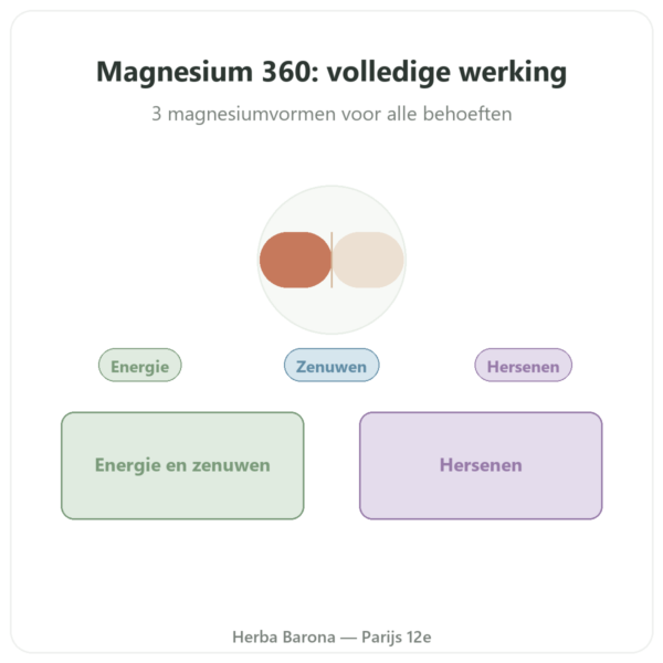 Magnesium Complex 360 – Dynveo – 120 capsules presentatie Paris Herba Barona