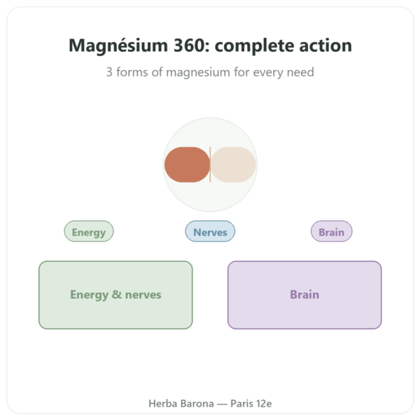 Magnesium Complex 360 - Dynveo - 120 Capsules presentation Paris Herba Barona