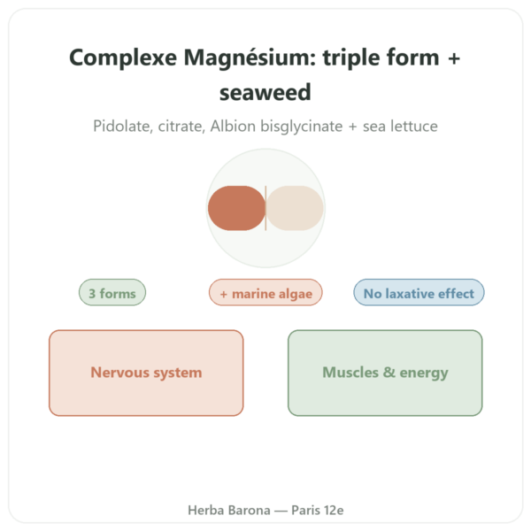 Magnesium Complex – Nutrimuscle – 60 capsules presentation Paris Herba Barona