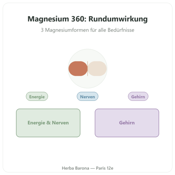 Magnesium-Komplex 360 – Dynveo – 120 Kapseln Vorstellung Paris Herba Barona