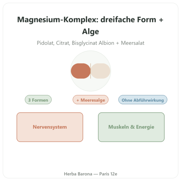 Magnesium-Komplex – Nutrimuscle – 60 Kapseln Vorstellung Paris Herba Barona