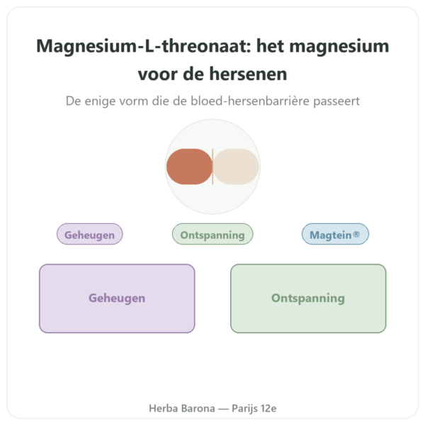Magnesium L-threonaat Magtein Dynveo 90 capsules presentatie Paris Herba Barona