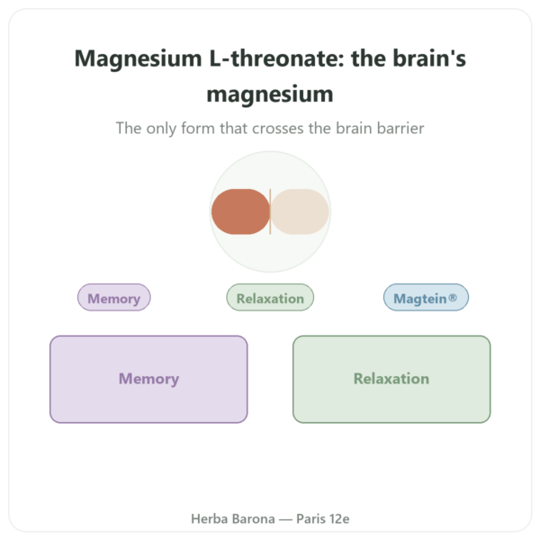 Magnesium L-Threonate (Magtein®) – Dynveo – 90 capsules presentation Paris Herba Barona