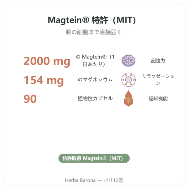 マグネシウム L-スレオン酸:Magtein® DYNVEO 90カプセル benefits and key facts Paris Herba Barona