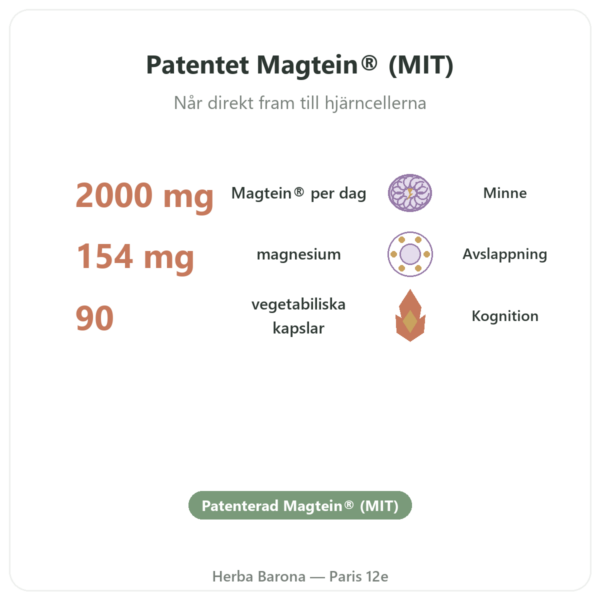 Magnesium L-treonat: Magtein® DYNVEO 90 kapslar fördelar och nyckelfakta Paris Herba Barona