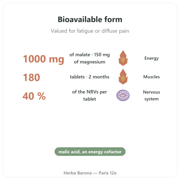 Magnesium Malate 1000 mg – Now Foods – 180 Tablets benefits and key facts Paris Herba Barona